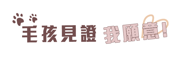 小婚宴掘起