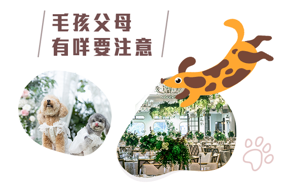 規模小唔等於地方細