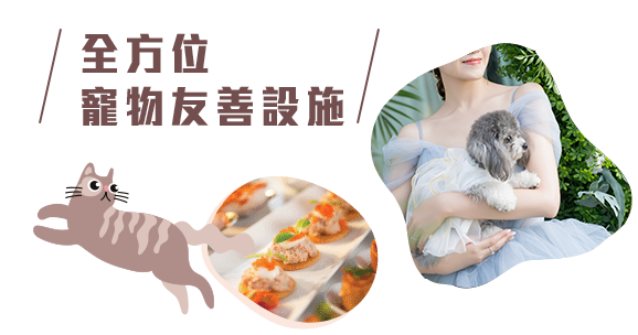 啱Feel唔老餅