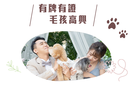 邊度都可以小清新