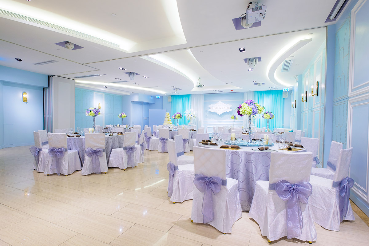 <div>德藝會‧Telford Recreation Club</div><div></div><div>
		    德藝會位於九龍灣港鐵站上蓋，交通方便。Baby Blue 主色調配無柱式設計，空間開揚舒適，歡迎帶同寵物參與婚禮，在溫馨氛圍中與毛孩共享 party time。
			</div><div>
			最佳席數: 6-10席<br/>
			Min. Charge : 約$30,000起 (根據不同日子優惠作調整)<br/>
			地點: 九龍灣德福花園平台P13-14號
			</div><div><a data-v="TRC" href="#v_detail" rel="modal:open" href="javascript:;">更多場地相片</a></div>